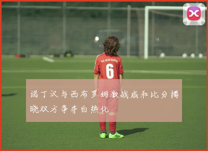 诺丁汉与西布罗姆激战成和比分揭晓双方争夺白热化