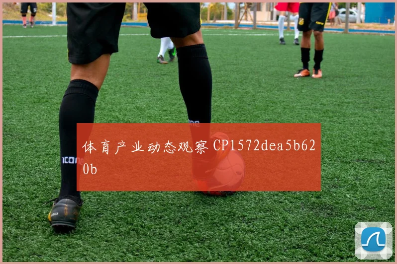 体育产业动态观察 CP1572dea5b620b