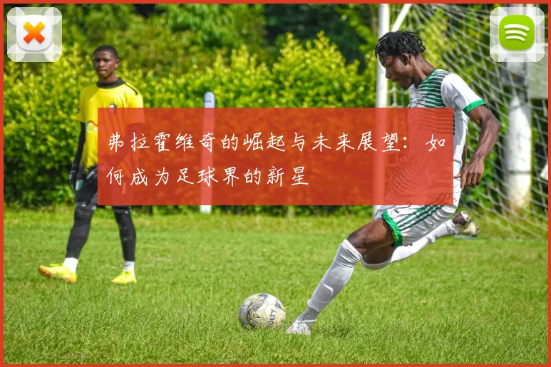 弗拉霍维奇的崛起与未来展望：如何成为足球界的新星