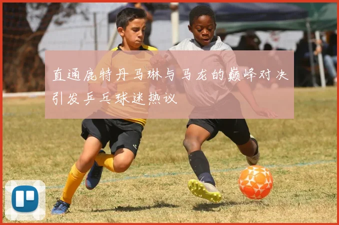 直通鹿特丹马琳与马龙的巅峰对决引发乒乓球迷热议