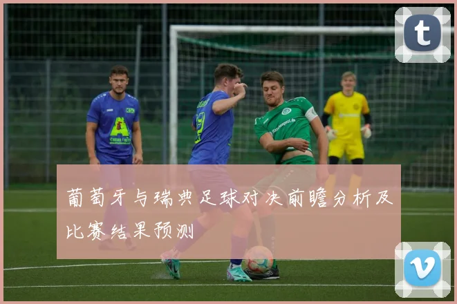葡萄牙与瑞典足球对决前瞻分析及比赛结果预测