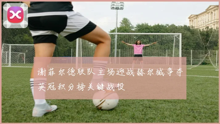 谢菲尔德联队主场迎战赫尔城争夺英冠积分榜关键战役