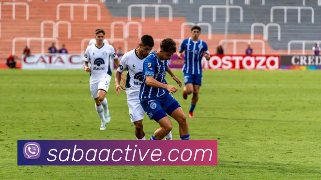 沙巴体育平台生态图